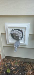 dryer cleanign 2